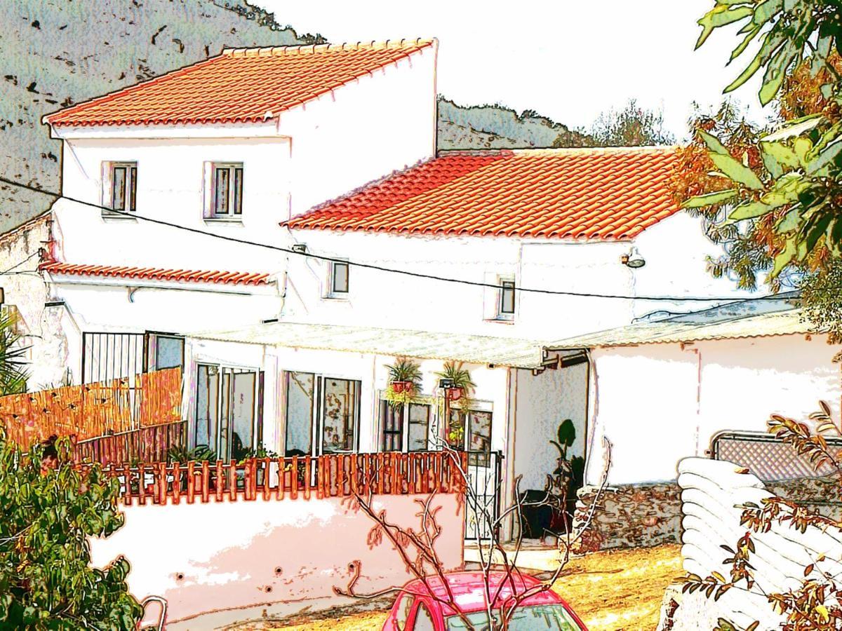 Casa Aguila 2.0 Bed & Breakfast Los Valverde Eksteriør bilde